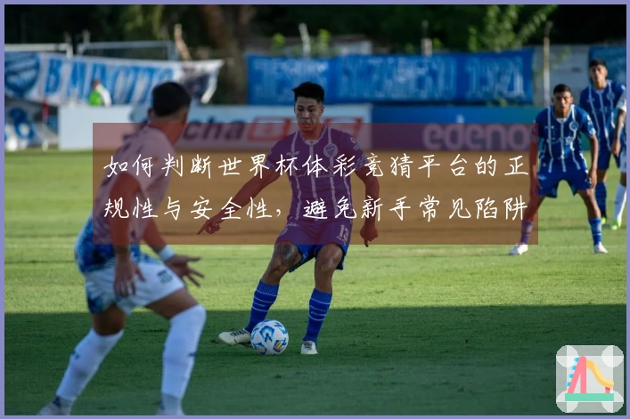 如何判断世界杯体彩竞猜平台的正规性与安全性，避免新手常见陷阱