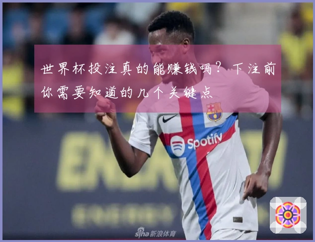 世界杯投注真的能赚钱吗？下注前你需要知道的几个关键点